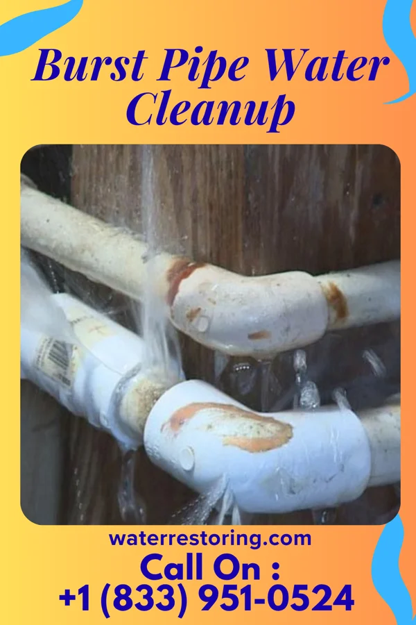 Burst Pipe Water Cleanup in Welch, WV