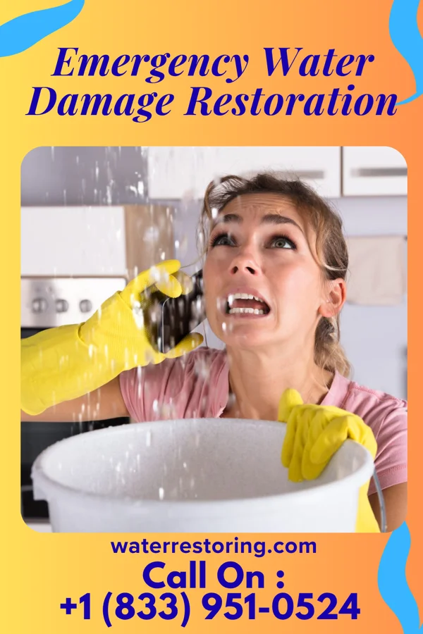 Emergency Water Damage Restoration in Welch, WV