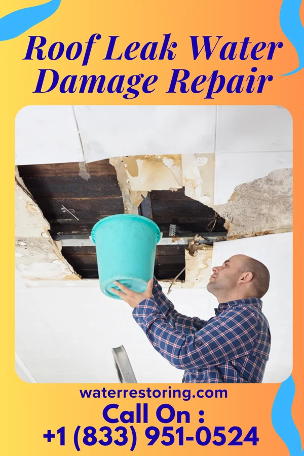 Roof Leak Water Damage Repair in Welch, WV