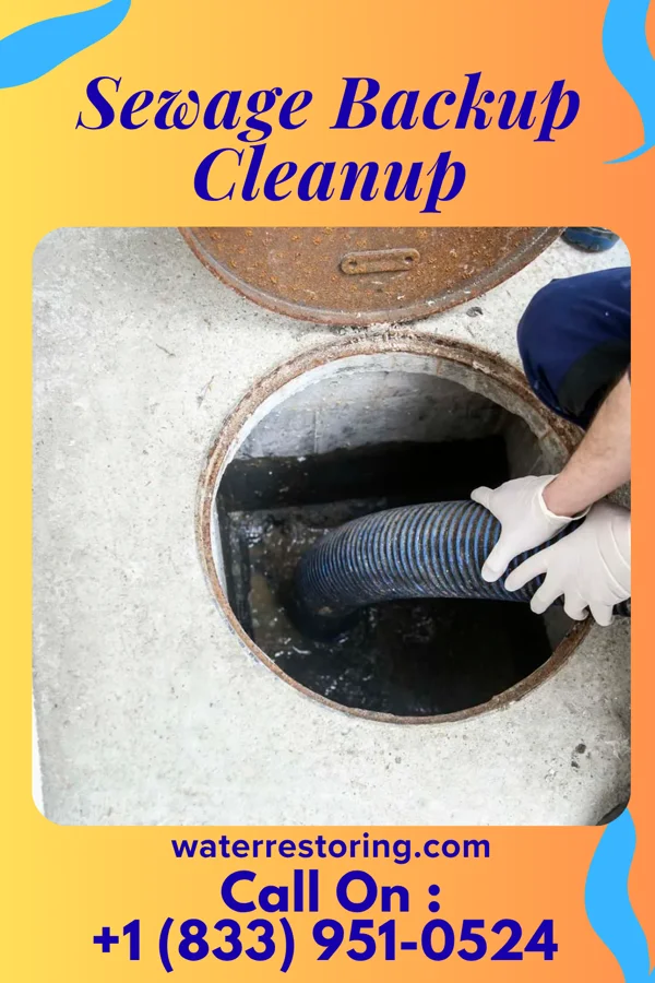 Sewage Backup Cleanup in Welch, WV