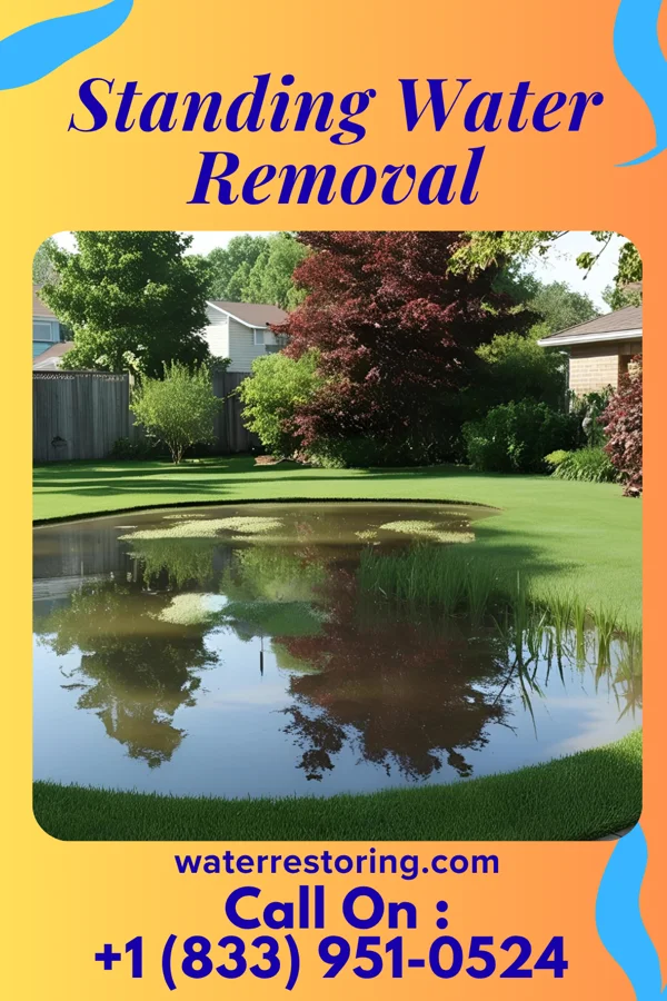 Standing Water Removal in Welch, WV